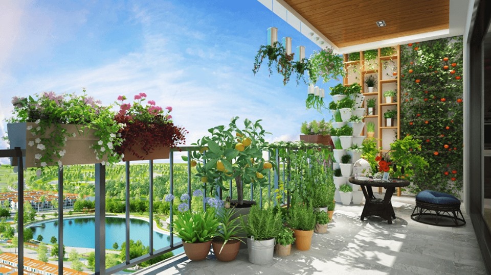 Chung cư Aurora Garden - Bảng giá & Chính sách trực tiếp CĐT